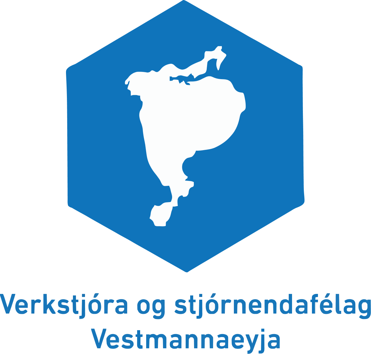 Félag stjórnenda logo